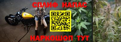 крисы Жуковский
