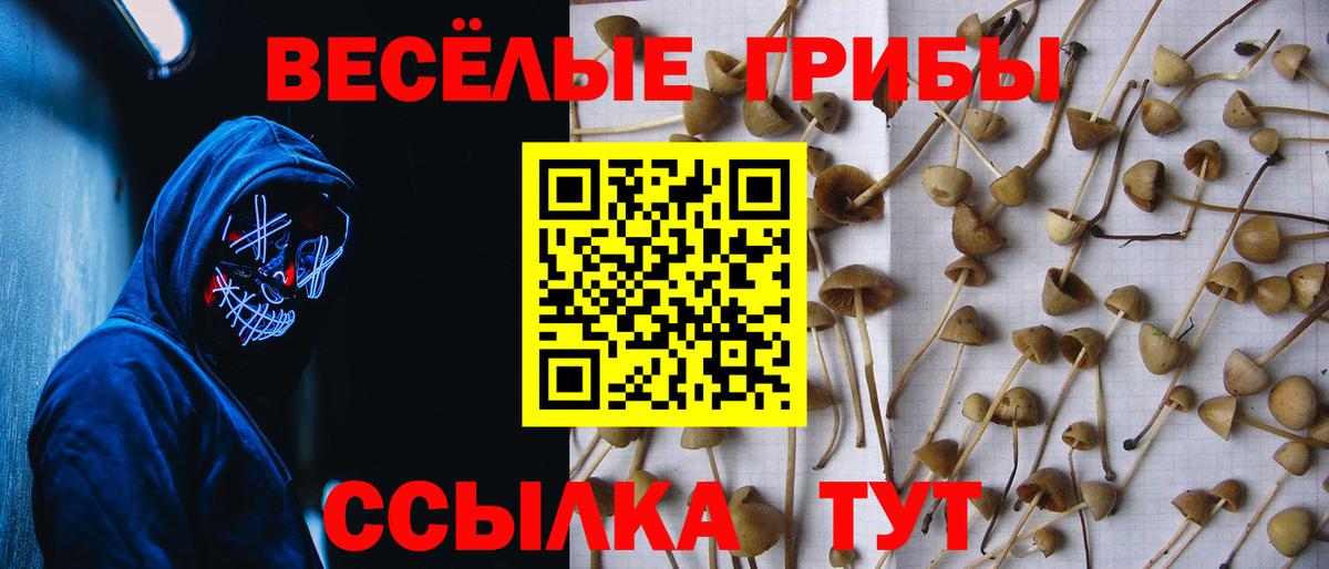 Галлюциногенные грибы Psilocybine cubensis Кумертау